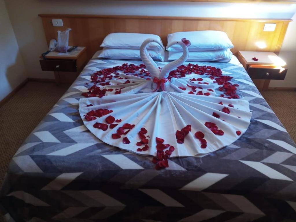 Hotel Satelite - 3*